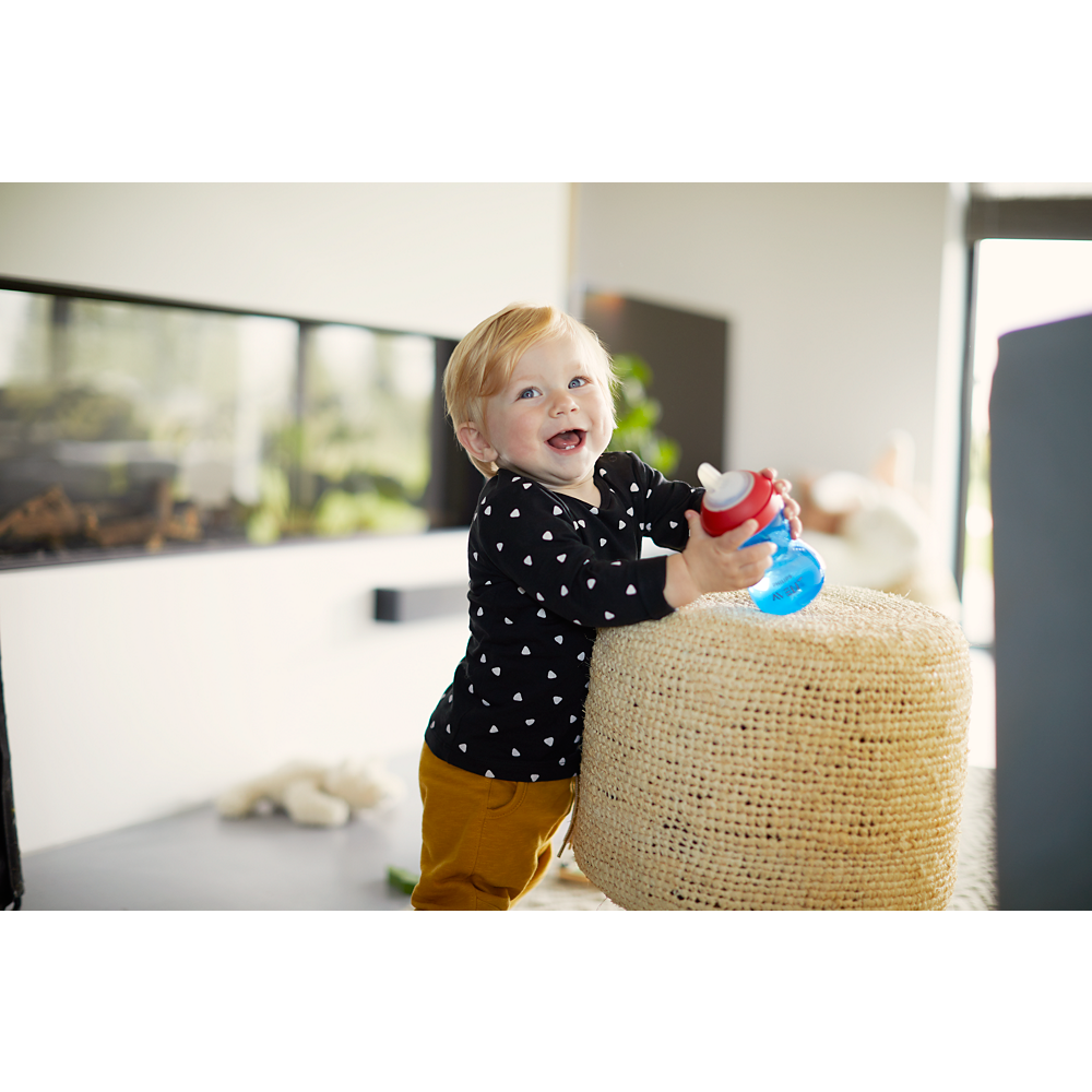 Philips Avent bočica s mekanim usnikom 9m+, 300ml, dječak, SCF802/01