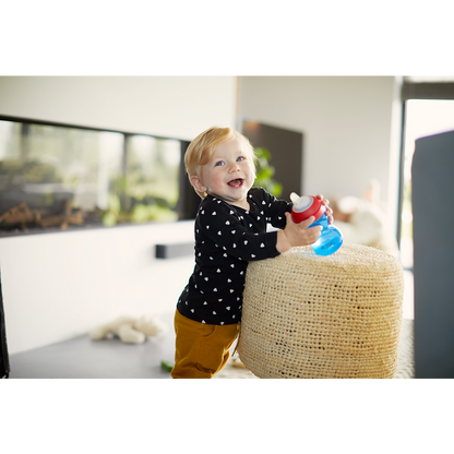 Philips Avent bočica s mekanim usnikom 9m+, 300ml, dječak, SCF802/01