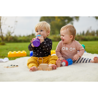 Philips Avent bočica s mekanim usnikom 9m+, 300ml, dječak, SCF802/01