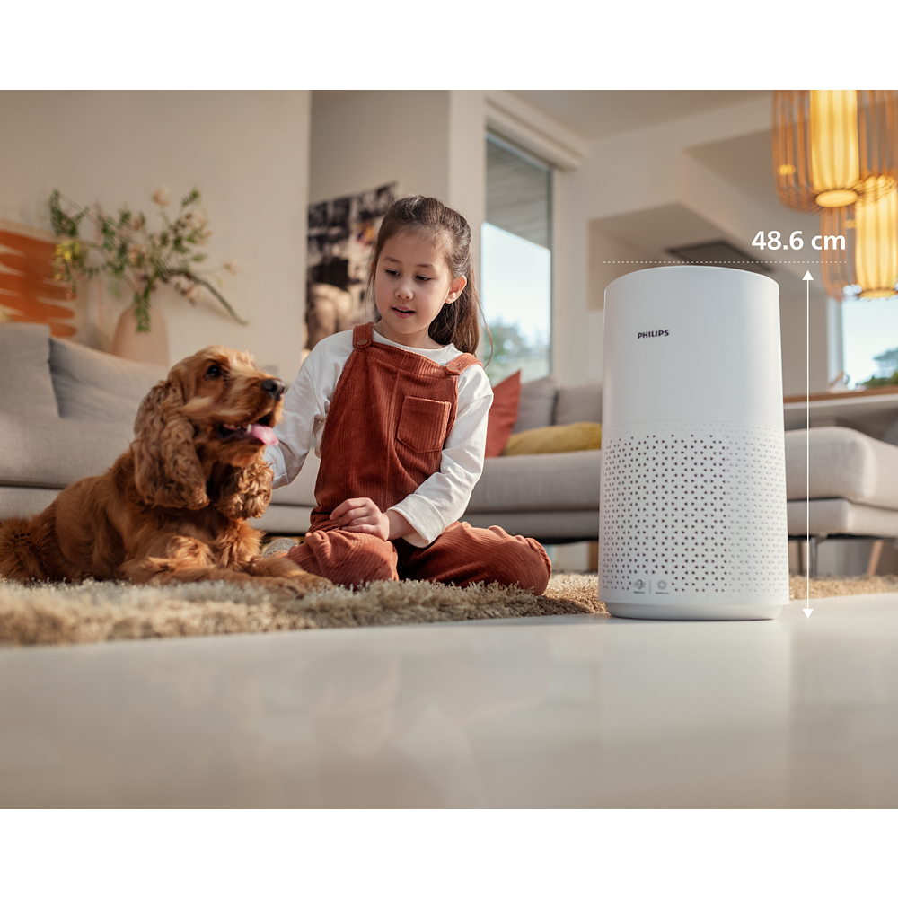 PHILIPS FY1700/30 DODATAK ZA PROČIŠČIVAČ ZRAKA